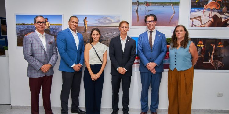 Exposición FOTOMAR llega a Santiago con enfoque en la conservación marina