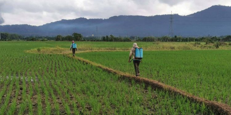 Un futuro en la ruralidad para la juventud de América Latina y el Caribe