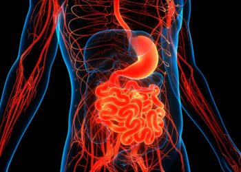 Estudio vincula trastornos digestivos con mayor riesgo de Alzheimer y Parkinson