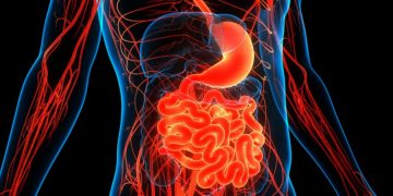 Estudio vincula trastornos digestivos con mayor riesgo de Alzheimer y Parkinson