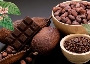 Cacao y chocolate: seis beneficios clave para el deporte