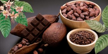 Cacao y chocolate: seis beneficios clave para el deporte