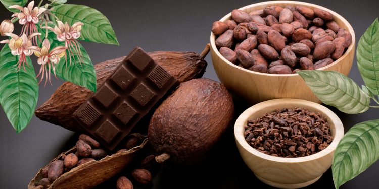 Cacao y chocolate: seis beneficios clave para el deporte