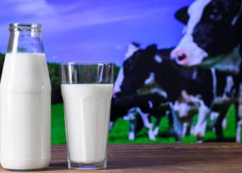 La leche: composición, beneficios y controversias en torno a un alimento esencial