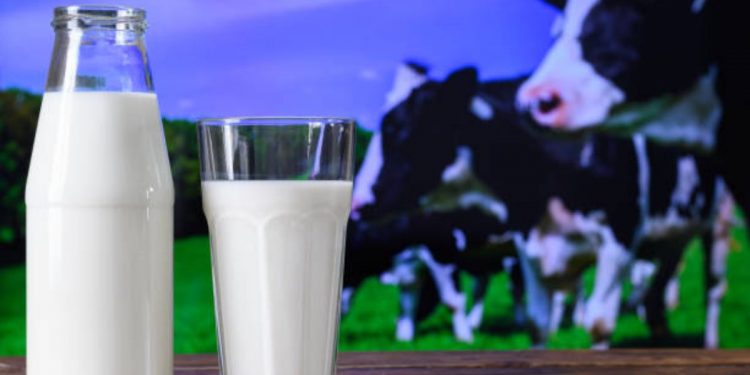 La leche: composición, beneficios y controversias en torno a un alimento esencial
