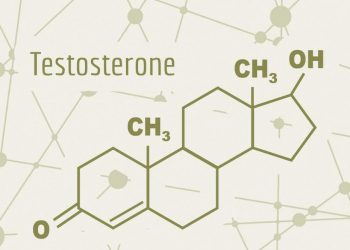 Testosterona: la hormona que influye en hombres y mujeres más allá de la fuerza muscular
