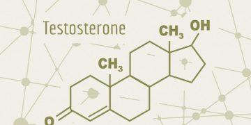 Testosterona: la hormona que influye en hombres y mujeres más allá de la fuerza muscular