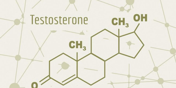 Testosterona: la hormona que influye en hombres y mujeres más allá de la fuerza muscular