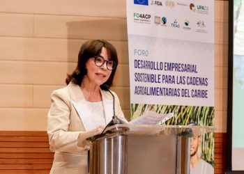 Vicealcaldesa de Santiago expone avances y desafíos en movilidad urbana ante la Unión Europea