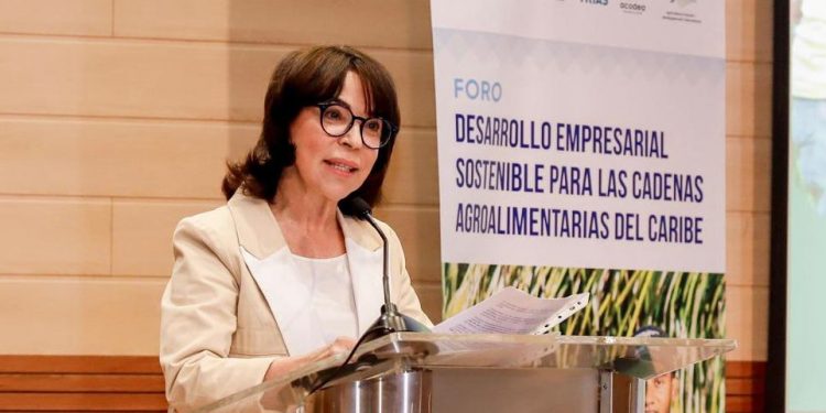 Vicealcaldesa de Santiago expone avances y desafíos en movilidad urbana ante la Unión Europea