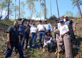 Seguros Monumental impulsa la reforestación en San José de las Matas junto a Plan Sierra y Fondo Agua