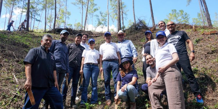 Seguros Monumental impulsa la reforestación en San José de las Matas junto a Plan Sierra y Fondo Agua