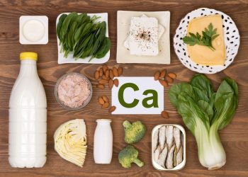 Alimentos ricos en calcio para fortalecer los huesos y prevenir la osteoporosis