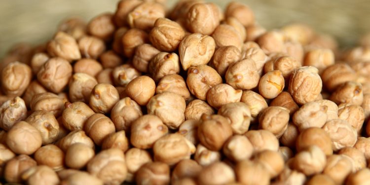 Garbanzos: el alimento que no debe faltar en una dieta para bajar el colesterol, según la nueva evidencia científica