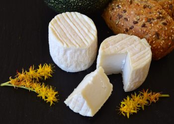 Consumo de queso graso y demencia: lo que revela un estudio y las advertencias de los expertos