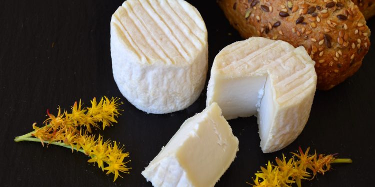 Consumo de queso graso y demencia: lo que revela un estudio y las advertencias de los expertos