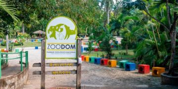 Zoológico Nacional aclara rumores y confirma que no importará especies venenosas al país