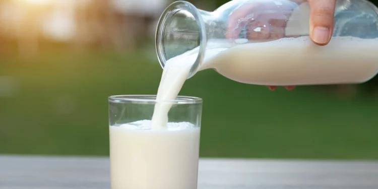 La leche en la alimentación moderna: aportes, beneficios y el debate científico global