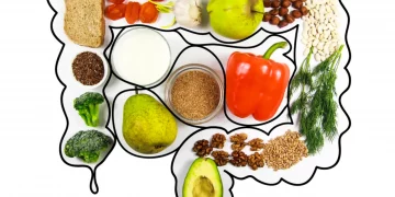 Fibra alimentaria: aliada clave de la digestión y la salud intestinal