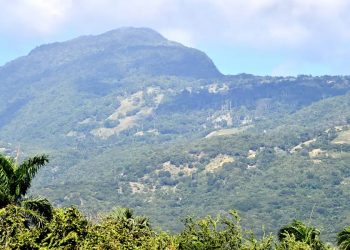Ambientalista respalda decisión del Gobierno de proteger la Cordillera Septentrional