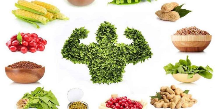 Ácido fólico: la vitamina clave para el crecimiento celular y la salud materna