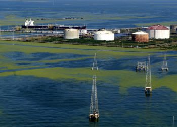 Trump anuncia que Venezuela entregará hasta 50 millones de barriles de petróleo a Estados Unidos