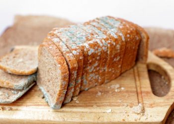 Moho en los alimentos: cuándo es mejor desecharlos y en qué casos pueden aprovecharse sin riesgo