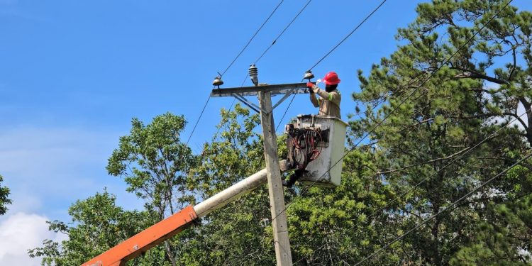 Edenorte moderniza redes eléctricas en Monte Adentro con inversión millonaria