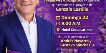 PLD convoca gran encuentro en Barahona en respaldo a Gonzalo Castillo
