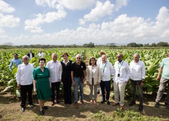 Industria tabacalera dominicana consolida su peso en la economía nacional