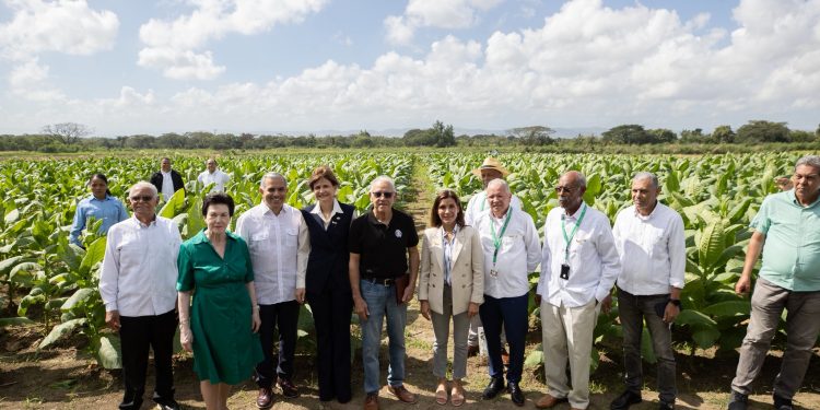 Industria tabacalera dominicana consolida su peso en la economía nacional