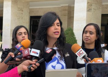 ProlactarRD propone reforma laboral enfocada en la corresponsabilidad familiar