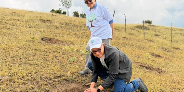 Aeropuerto del Cibao lidera jornada verde con más de 17 mil árboles sembrados en la sierra