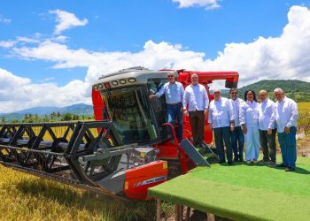 República Dominicana lidera producción arrocera en el Caribe y Centroamérica