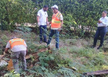 Agricultura desembolsa más de RD$59 millones para fortalecer programas fitosanitarios nacionales