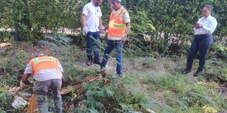 Agricultura desembolsa más de RD$59 millones para fortalecer programas fitosanitarios nacionales