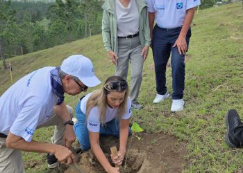 Banco Popular impulsa jornada de reforestación con comunicadores en la Sierra de Santiago