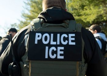 ICE efectúa este año más apresamientos y menos deportaciones en NYC; figuran dominicanos