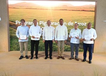 Banreservas impulsa sector arrocero con financiamiento de RD$12,000 millones para próxima cosecha
