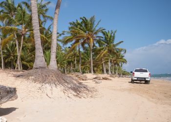 Medio Ambiente advierte sobre restricciones en playas y refuerza protección costera en Semana Santa