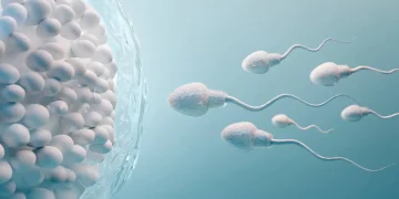 Estudio revela posibles beneficios de la eyaculación frecuente para la salud masculina