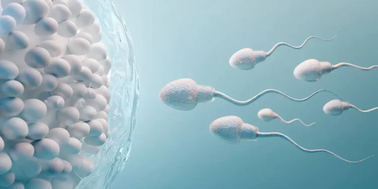 Estudio revela posibles beneficios de la eyaculación frecuente para la salud masculina
