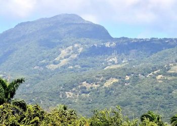 Vertrixi Holding rechaza acusaciones sobre exploraciones en áreas protegidas