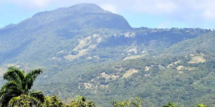 Vertrixi Holding rechaza acusaciones sobre exploraciones en áreas protegidas
