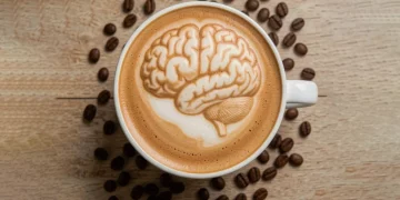 Estudio revela que el café podría beneficiar el cerebro a través de la salud intestinal