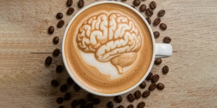 Estudio revela que el café podría beneficiar el cerebro a través de la salud intestinal