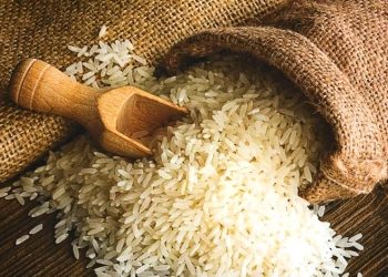 El arroz sigue siendo uno de los alimentos más consumidos y valorados en la dieta diaria