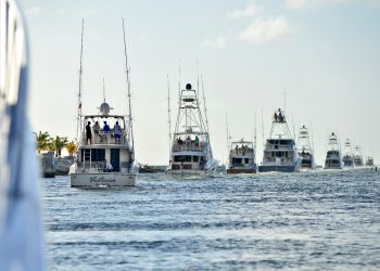 Cap Cana se prepara para recibir torneo internacional de pesca deportiva con más de 300 embaraciones