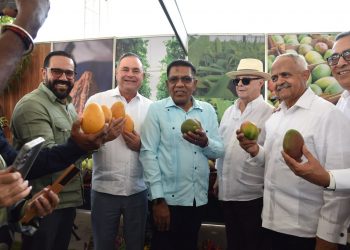 Agricultura proyecta exportación récord de 10 millones de cajas de mango en 2026