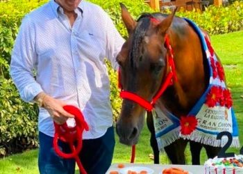 Carnaval de Retorno celebra 30 años de legado y grandeza en el Paso Fino